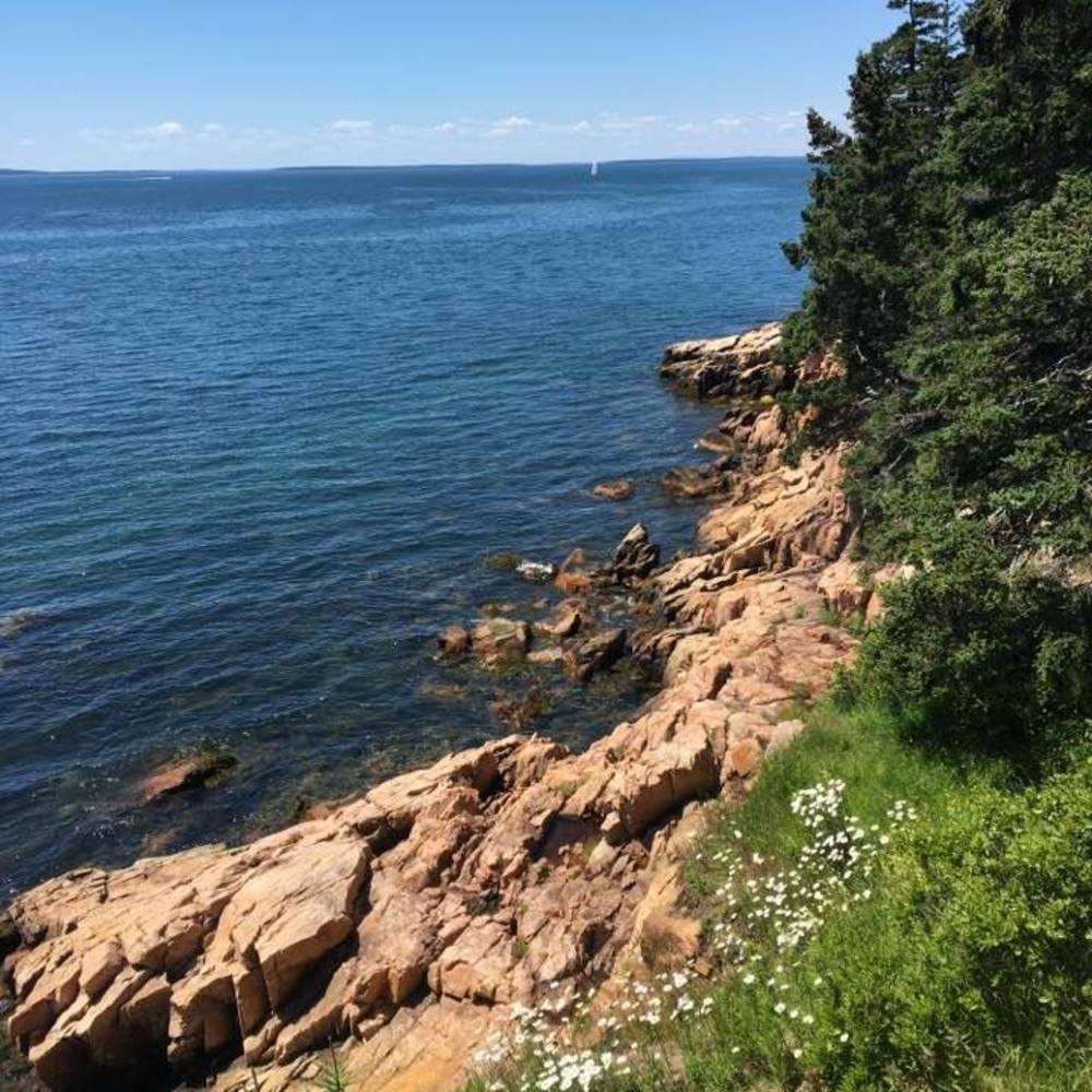 Meet your Posher, Jill